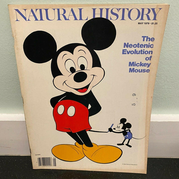 Natural History May 1979 Mickey Mouse Neotenic Evolution Disney  magazine